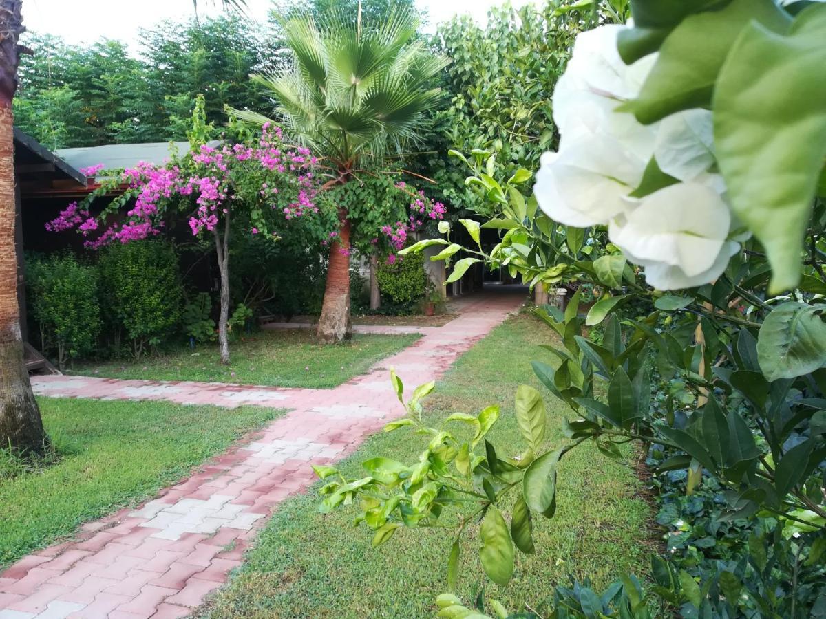Kervan Pansiyon Cirali Exterior foto
